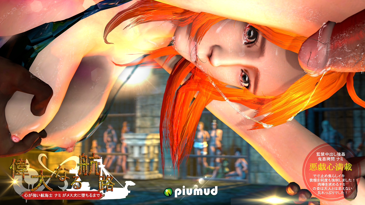 Nami Grand line Collector Edition (3D)